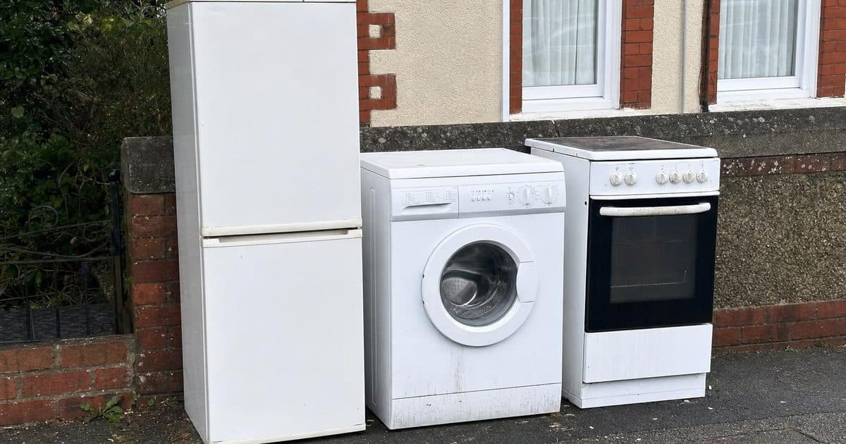 How to dispose of white goods in Eastbourne: recycling, selling and collection service page illustration